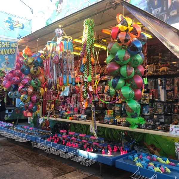 Pêche aux canards Magie de Disney